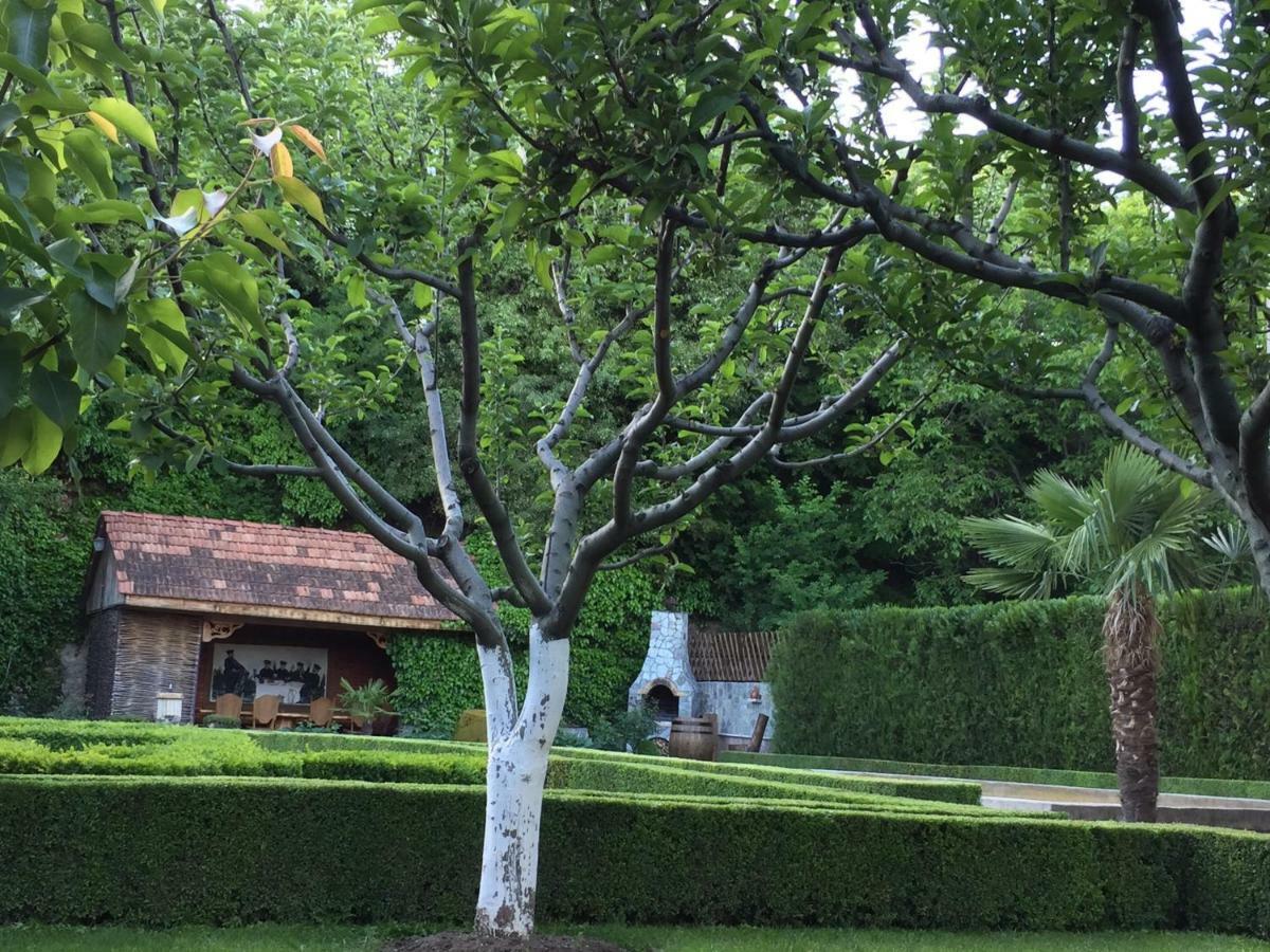 Villa Aragvi Valley à Tsitelsopeli Extérieur photo